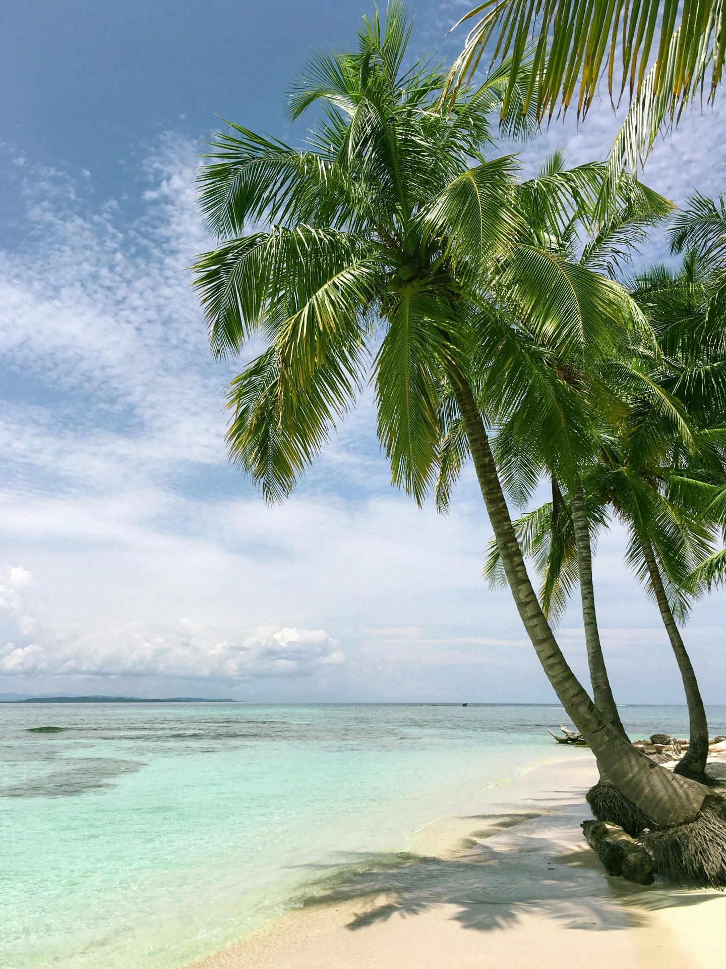 Person relaxing on a beach